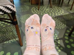 -卡通尼·Safari非洲探索乐园·生日会(金桥国际商业广场店)