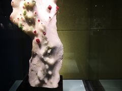 -中华赏石园