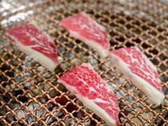 -九田家黑牛烤肉料理(石路天虹店)