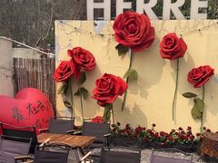 -HERRE·FARM 赫尔露营农场·团建聚会包场