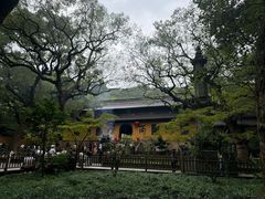 -普陀山风景名胜区-法雨禅寺