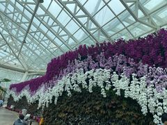 -石家庄市植物园