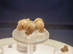 -广西壮族自治区博物馆