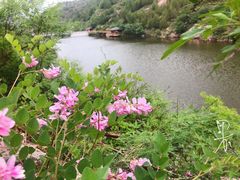 -仙居谷风景区