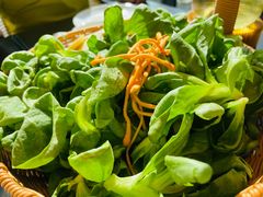 -炊江南·上海菜(国展华漕店)