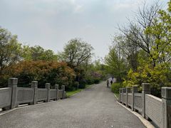-梁鸿国家湿地公园