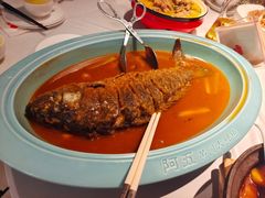 -阿五黄河大鲤鱼(英协路店)