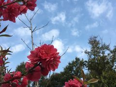 -苏州清山会议中心