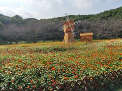 -苏州上方山国家森林公园