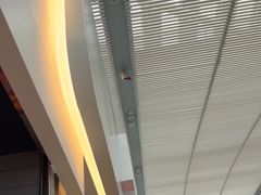 -麦当劳(深圳北站高铁店)