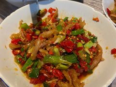 鸭掌筋-壹盏灯(惠农店)