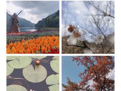 -广州市石门国家森林公园