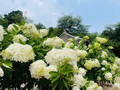 -云峰山自然风景区