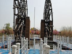 -泗洪洪泽湖湿地景区