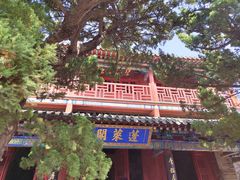 -蓬莱阁景区