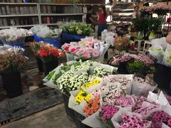 -秦美花卉(天朗·莱茵小城2期店)