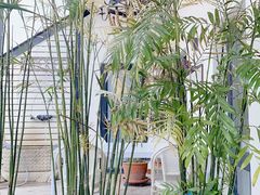 -素心小筑(后沙裕镇店)