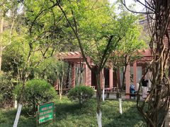 -龙头寺公园