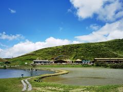 -仰天湖大草原
