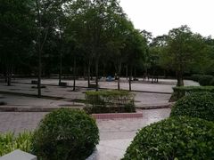 -解放人民公园