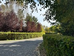 -红山国家森林公园