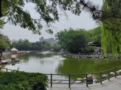 -莲湖公园