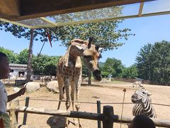 -大连森林动物园