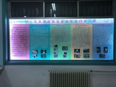 -北京观赏动物医院·24小时大型综合·猫专科·异宠专科