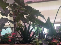 -塔斯汀·中国汉堡(蓝润置地广场店)
