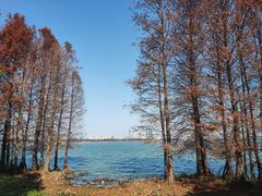-长广溪湿地公园