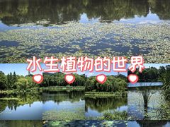 -北坞公园