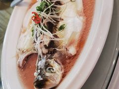 -老洋房花园饭店(绍兴路店)