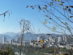 -沙县小吃文化城