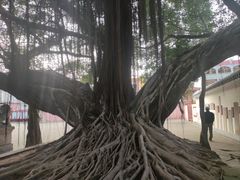-闽粤南澳总镇府