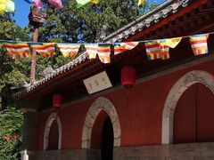 -北京上方山国家森林公园