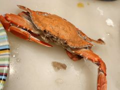 -吉布鲁牛排海鲜自助(硕果时代店)