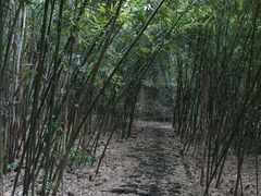 -南山风景名胜区