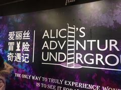 -爱丽丝冒险奇遇记