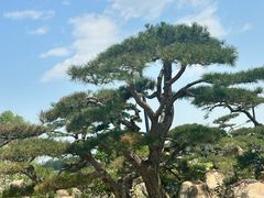 -罗红摄影艺术馆