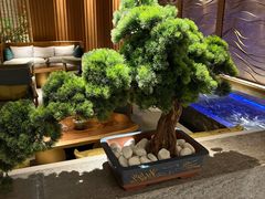 -浅深(北京北四环精品店)