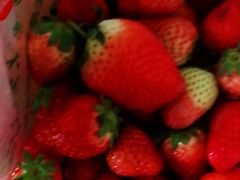 -乐乐鲜果水果超市(河北店)