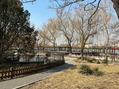 -莲花池公园