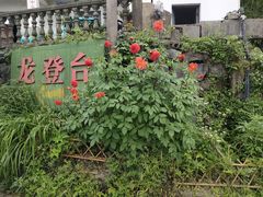 -藏龙百瀑风景区