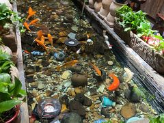 -有梦特色餐厅(古子城店)