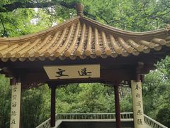 -北极阁公园