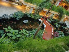 -白天鹅宾馆-宏图府餐厅