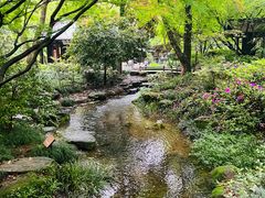 -中国茶叶博物馆(双峰馆区)