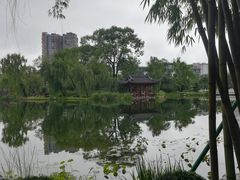 -北湖公园