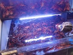 -虾铺子龙虾·私房菜(金源花苑店)
