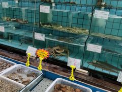 水产区-海岛渔村大酒店(云霄路店)